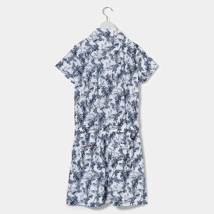 インディゴブルー