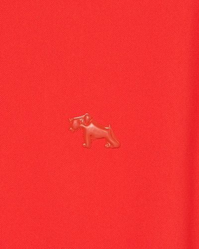オレンジ