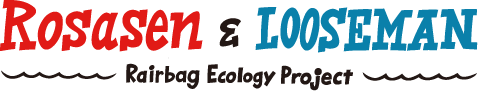 Rosasen and LOOSEMAN Rairbag Ecology Project